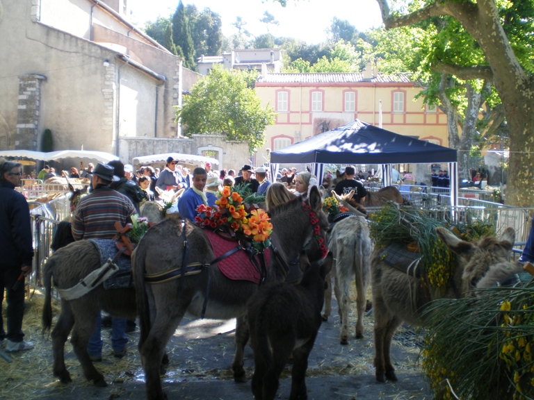 fete_de_l_ane_2010_03