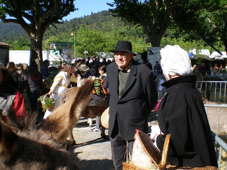 fete_de_l_ane_2010_04