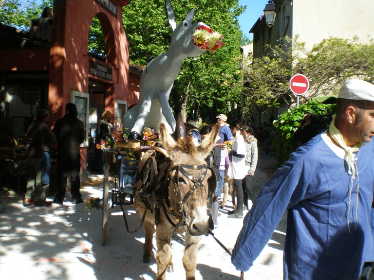 fete_de_l_ane_2010_05