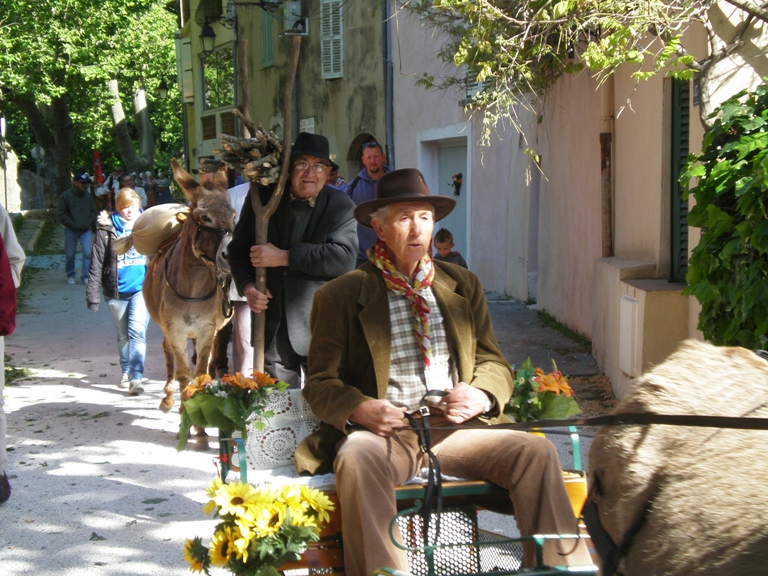 fete_de_l_ane_2010_06