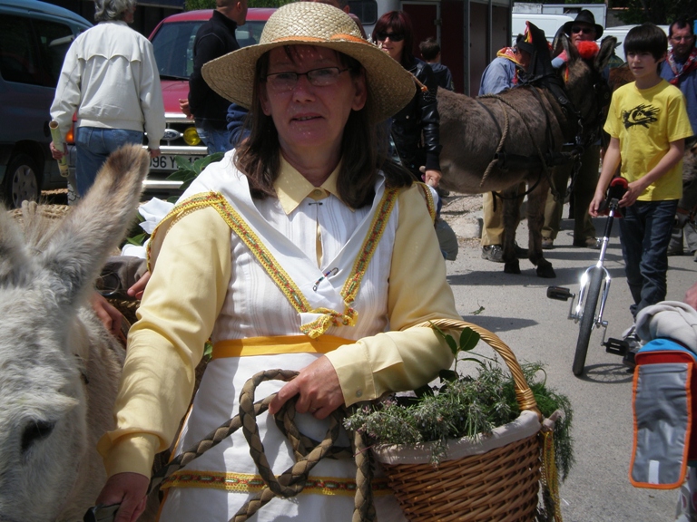 fete_de_l_ane_2010_08