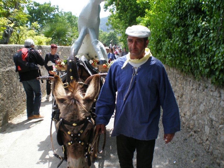 fete_de_l_ane_2010_09