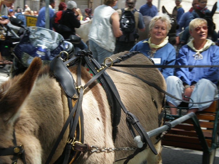 fete_de_l_ane_2010_11